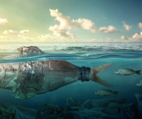 How is Plas-Pak Contributing to the Ocean’s Conservation?