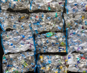 Recycling Vs Banning: Which is the most effective solution to plastic waste problems?